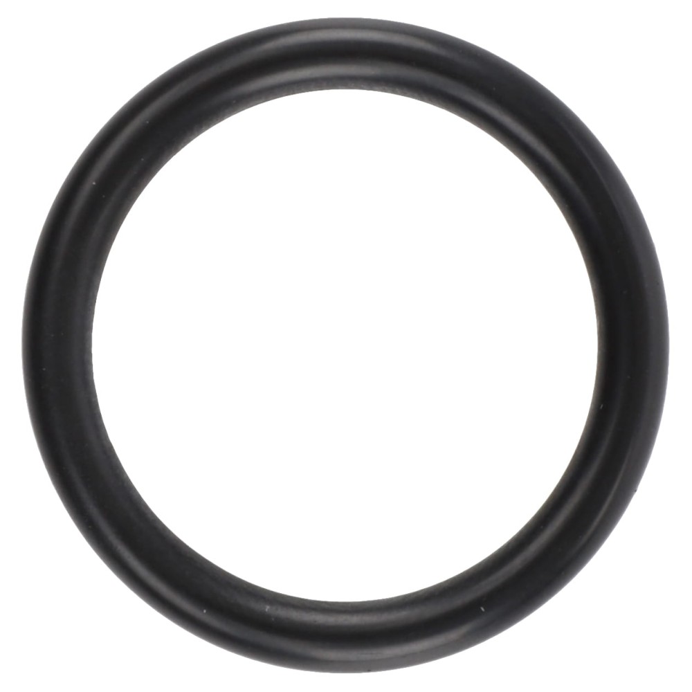 O-RING 3637197M1