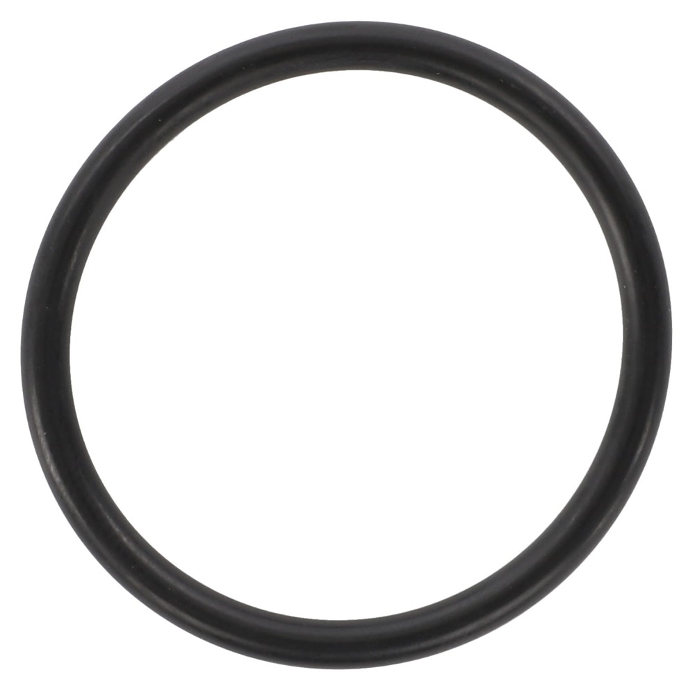 O-RING 3641231M1