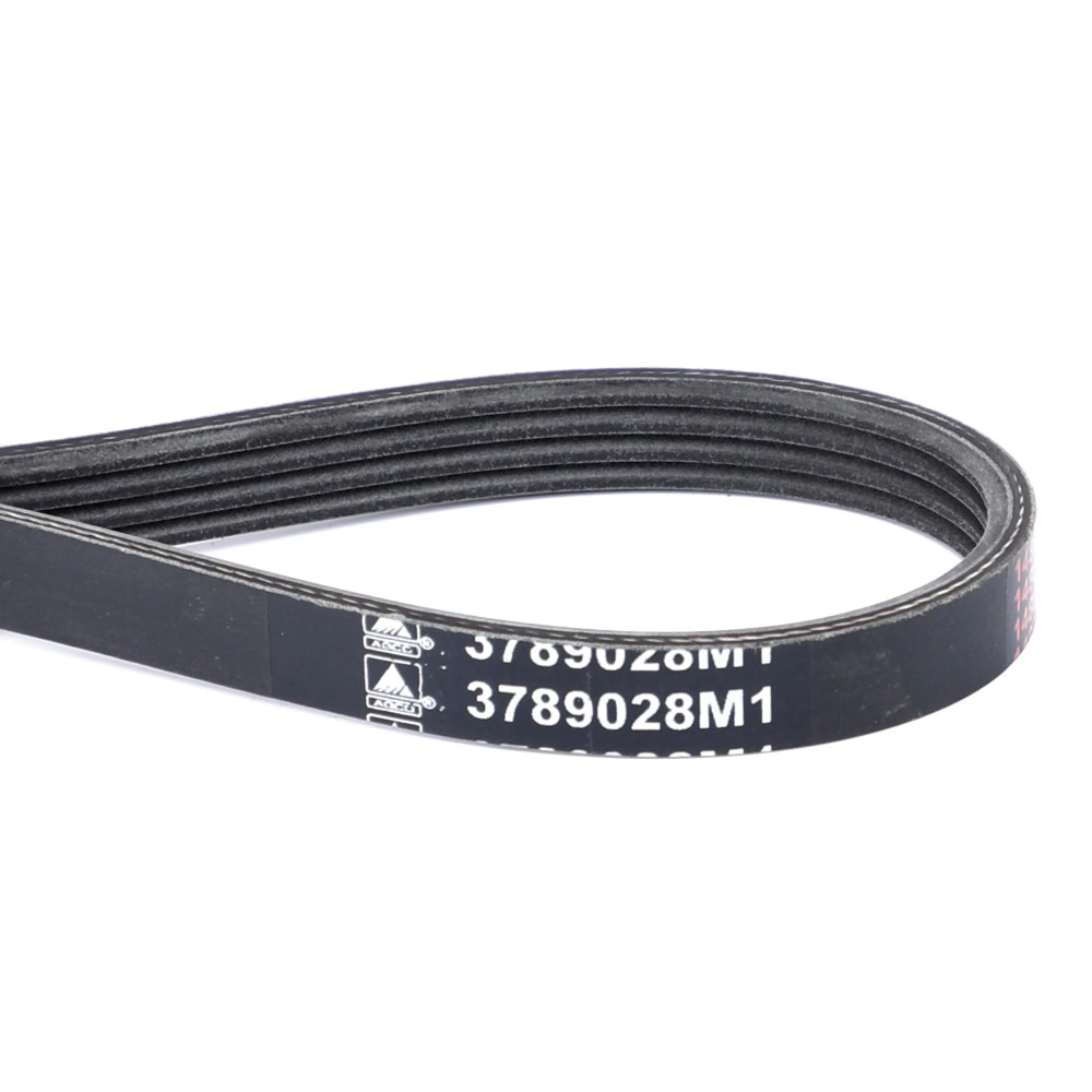 PAS 3789028M1