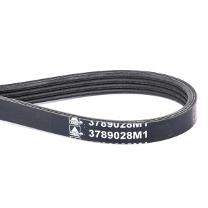 PAS 3789028M1