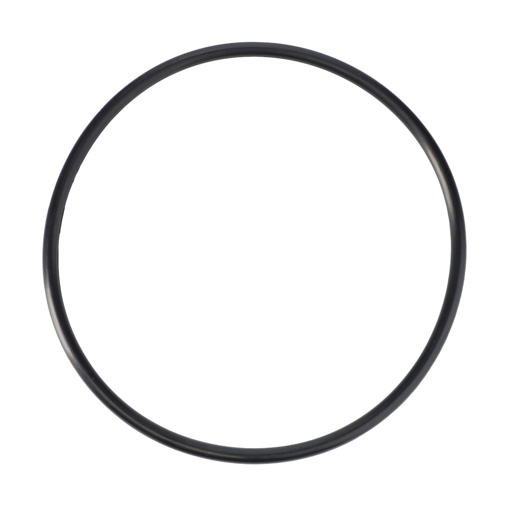 O-RING 3901890M1