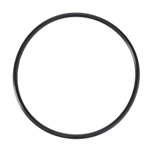 O-RING 3901890M1