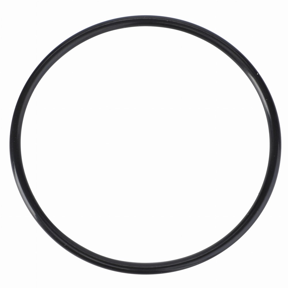 O-RING 4225843M1