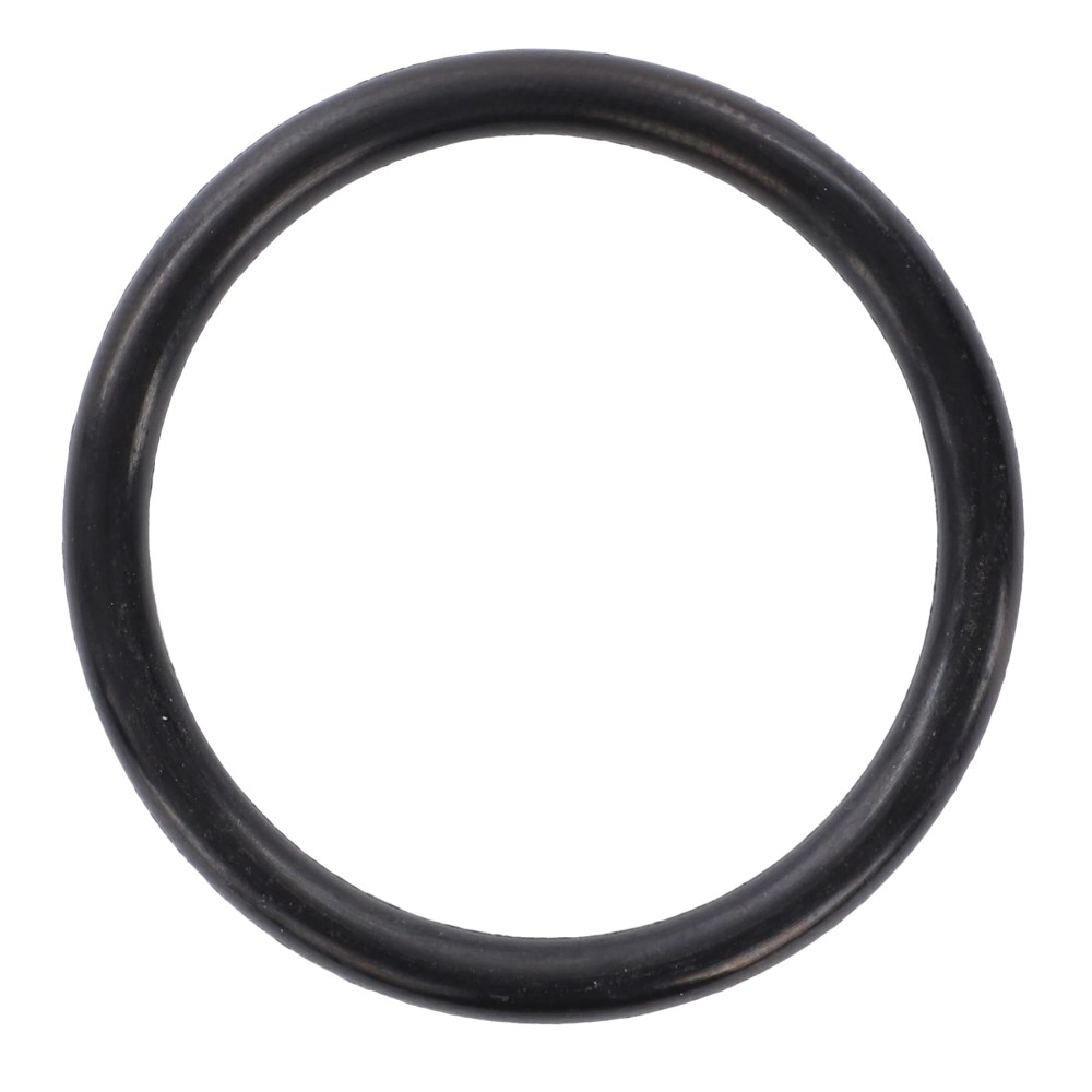 O-RING 4232007M1