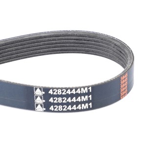 PAS 4282444M1