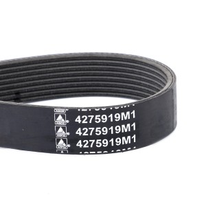 PAS 4275919M1