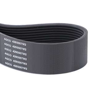 PAS 4293007M2