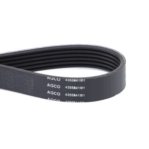 PAS 4355841M1
