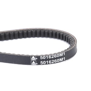 PAS 5016260M1