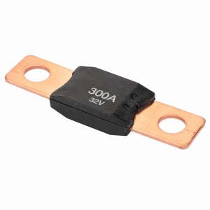 BEZPIECZNIK 530091D1