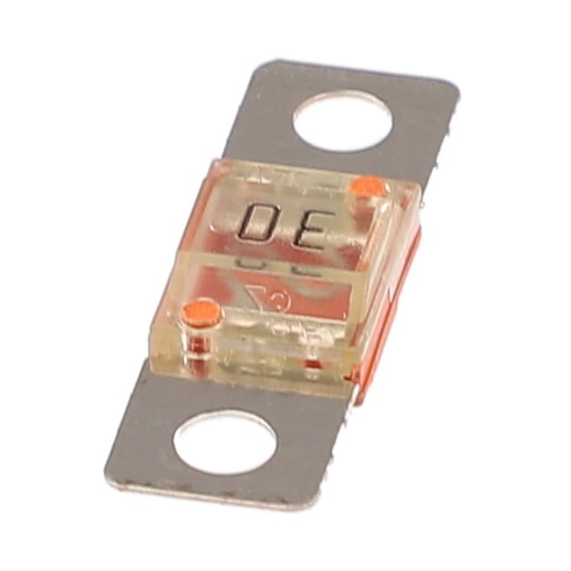 BEZPIECZNIK 30 A 550080D1