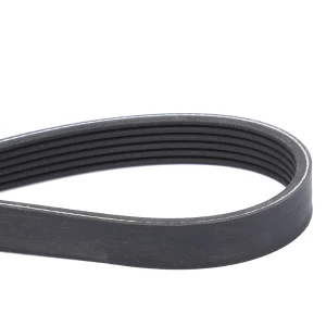 PAS SERPENTYNOWY 581083D1