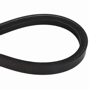PAS 6220987M1