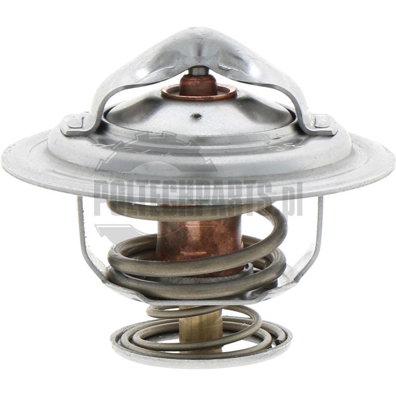 Termostat - 74717032