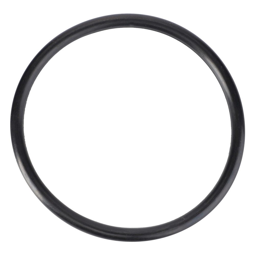 O-RING 70923579