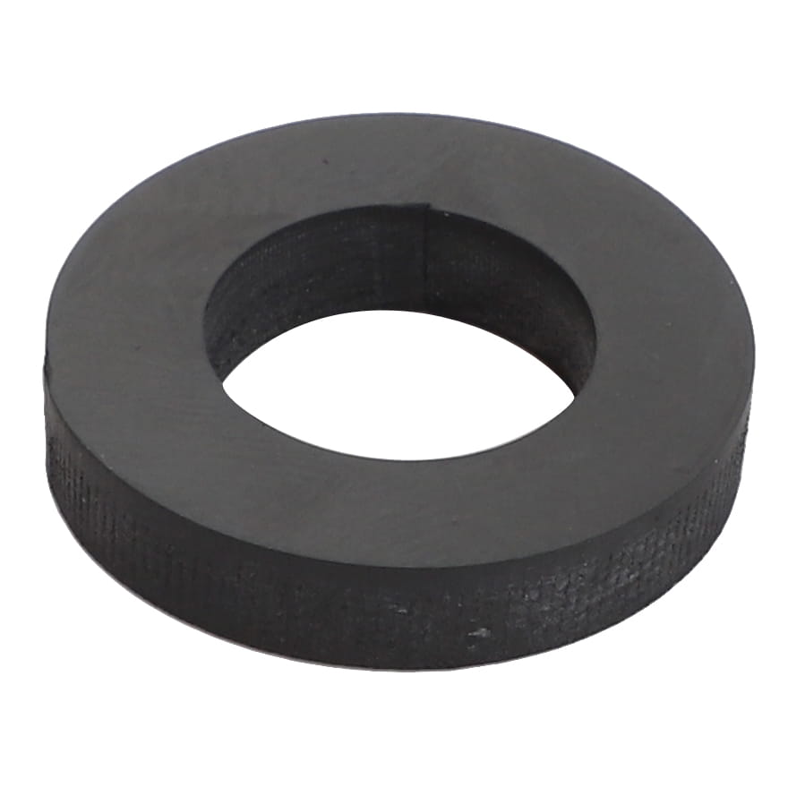O-RING 7111009M1