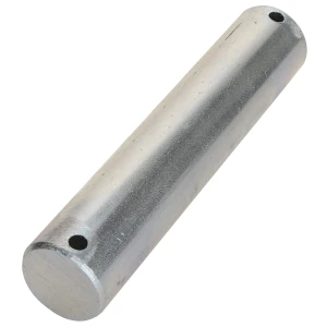SWORZEŃ ACP0027650