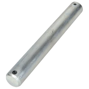 SWORZEŃ ACP0058210