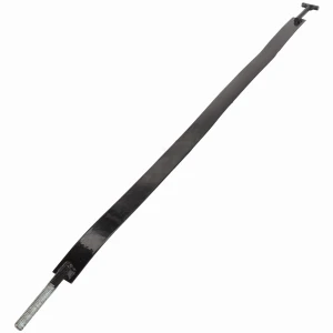 PAS ACP0072820
