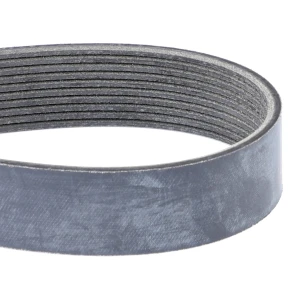PAS SERPENTYNOWY ACP0152840