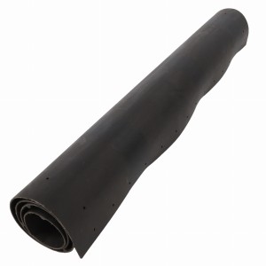 PAS, PRAWY ACP0128170