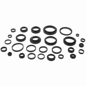 ZESTAW USZCZELEK ACP0276370