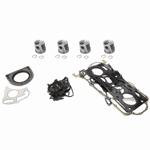 ZESTAW REMONTOWY SILNIKA ACP0234170