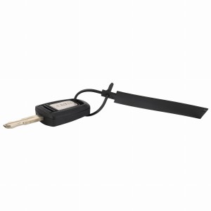 KLUCZYK ZAPŁONU ACP0428700