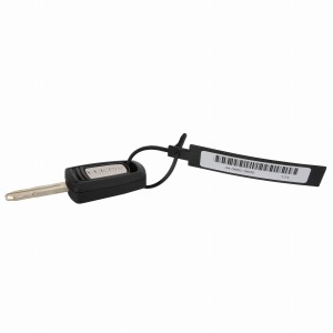 KLUCZYK ZAPŁONU ACP0428900