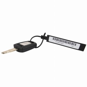 KLUCZYK ZAPŁONU ACP0429010