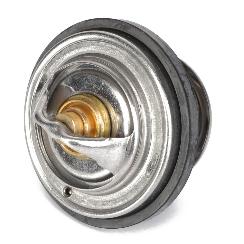 TERMOSTAT ACP0433340