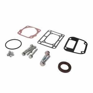 ZESTAW USZCZELEK ACP0435570