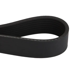 PASEK KLINOWY ACP0546720