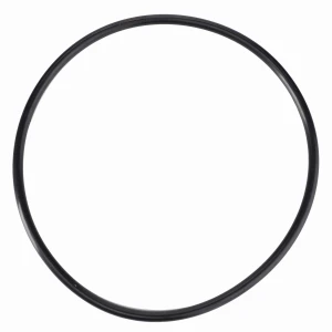 O-RING D45471500