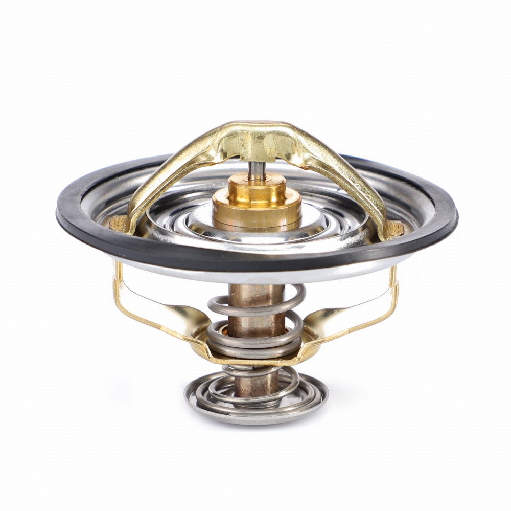 TERMOSTAT F199204050010