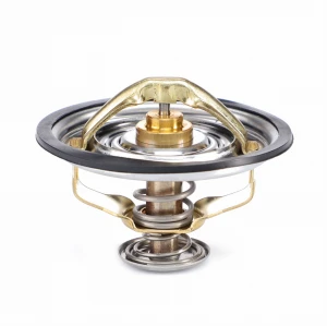TERMOSTAT F199204050010