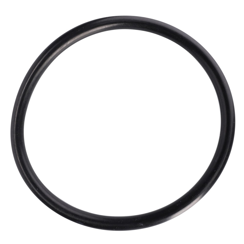 O-RING D46140026