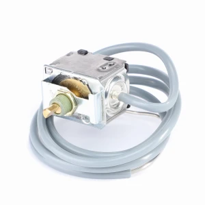 TERMOSTAT F205550051010