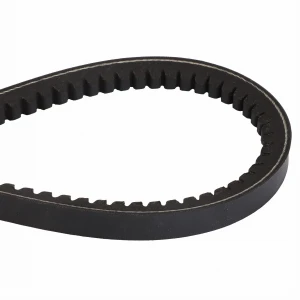 PASEK KLINOWY D41921500