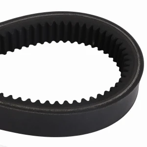 PAS D41980000