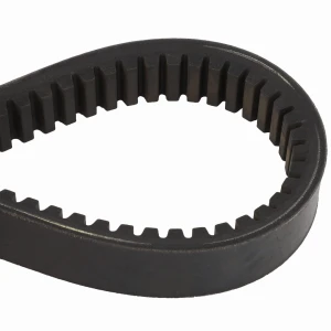 PAS D41980100
