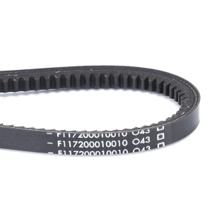 PASEK KLINOWY F117200010010