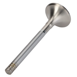 GRZYBEK F285200210200