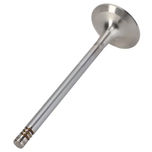 ZAWÓR DOLOTOWY F149200210070