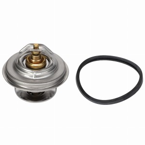 TERMOSTAT F743202050010