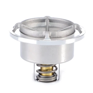 TERMOSTAT F340200610020