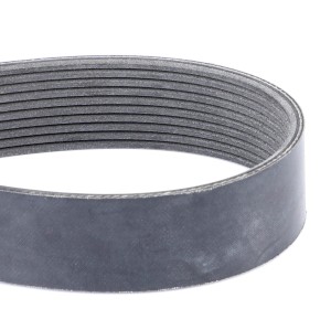 PAS SERPENTYNOWY F416200040010