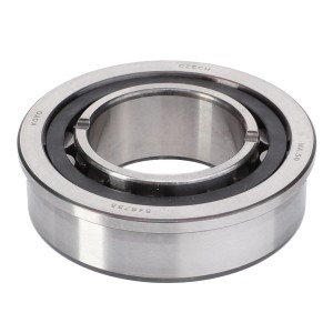 CYLINDRYCZNE ŁOŻYSKO WAŁECZKOWE G312100080100