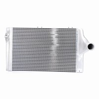 Widły do stajni, metalowe, bez trzonka, c… | poltechparts.pl