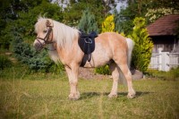 Siodło wszechstronne, roz. Pony, 15,0", c… | poltechparts.pl